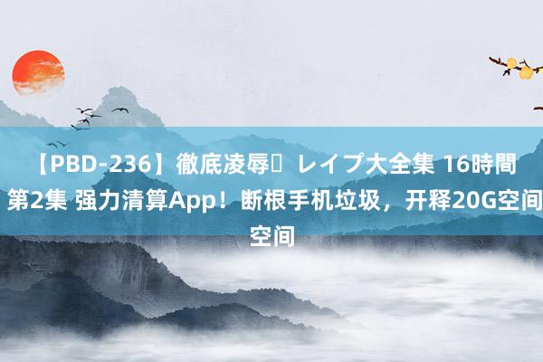 【PBD-236】徹底凌辱・レイプ大全集 16時間 第2集 强力清算App！断根手机垃圾，开释20G空间