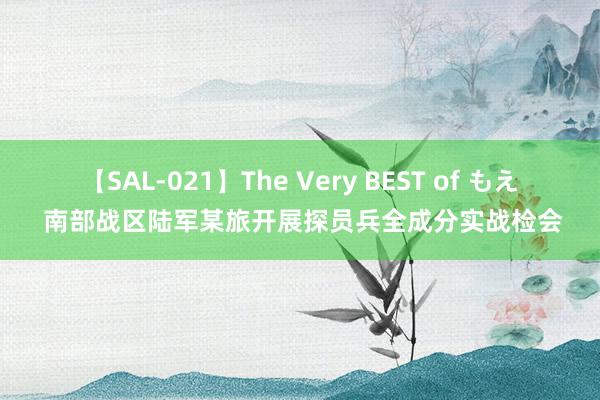 【SAL-021】The Very BEST of もえ 南部战区陆军某旅开展探员兵全成分实战检会