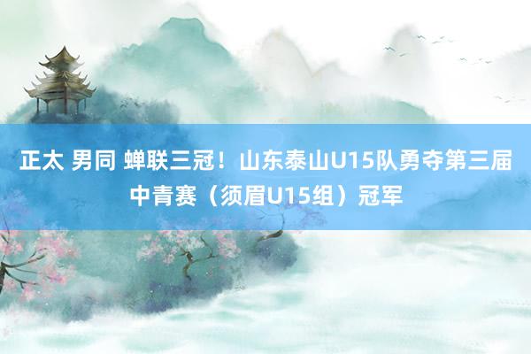 正太 男同 蝉联三冠！山东泰山U15队勇夺第三届中青赛（须眉U15组）冠军