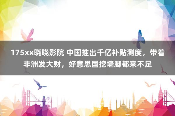 175xx晓晓影院 中国推出千亿补贴测度，带着非洲发大财，好意思国挖墙脚都来不足