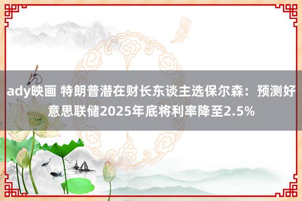 ady映画 特朗普潜在财长东谈主选保尔森：预测好意思联储2025年底将利率降至2.5%