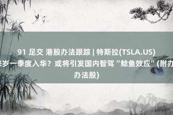 91 足交 港股办法跟踪 | 特斯拉(TSLA.US)FSD来岁一季度入华？或将引发国内智驾“鲶鱼效应”(附办法股)