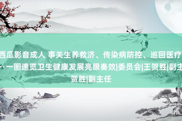 西瓜影音成人 事关生养救济、传染病防控、巡回医疗······一图速览卫生健康发展亮眼奏效|委员会|王贺胜|副主任