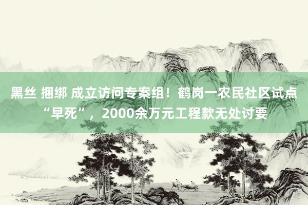 黑丝 捆绑 成立访问专案组！鹤岗一农民社区试点“早死”，2000余万元工程款无处讨要