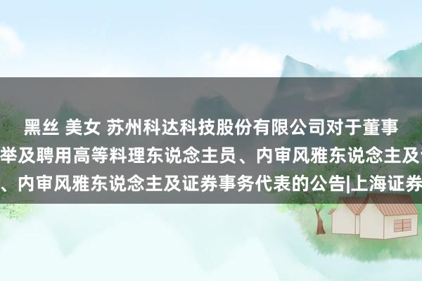 黑丝 美女 苏州科达科技股份有限公司对于董事会、监事会完成换届选举及聘用高等料理东说念主员、内审风雅东说念主及证券事务代表的公告|上海证券报