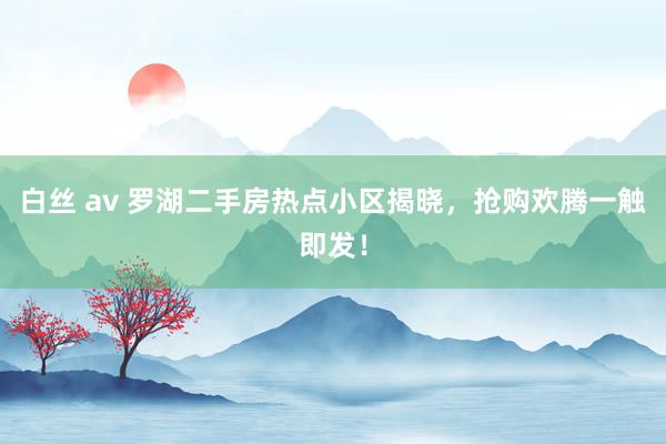 白丝 av 罗湖二手房热点小区揭晓，抢购欢腾一触即发！