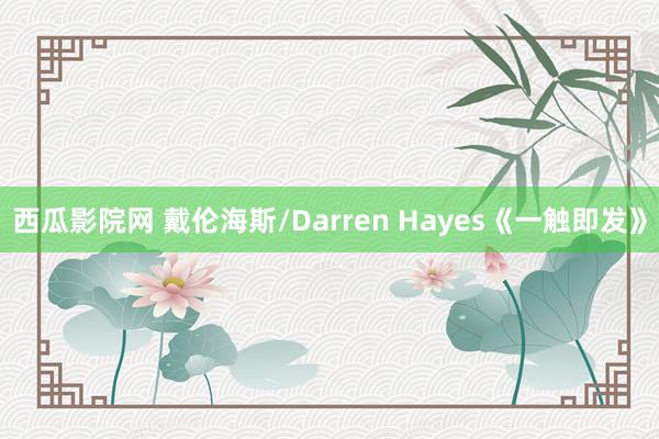 西瓜影院网 戴伦海斯/Darren Hayes《一触即发》