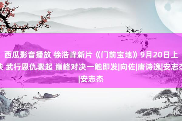 西瓜影音播放 徐浩峰新片《门前宝地》9月20日上映 武行恩仇骤起 巅峰对决一触即发|向佐|唐诗逸|安志杰